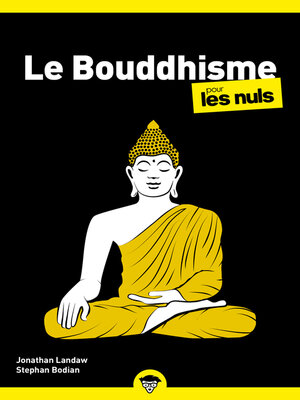 cover image of Le Bouddhisme pour les Nuls, poche, 2e éd